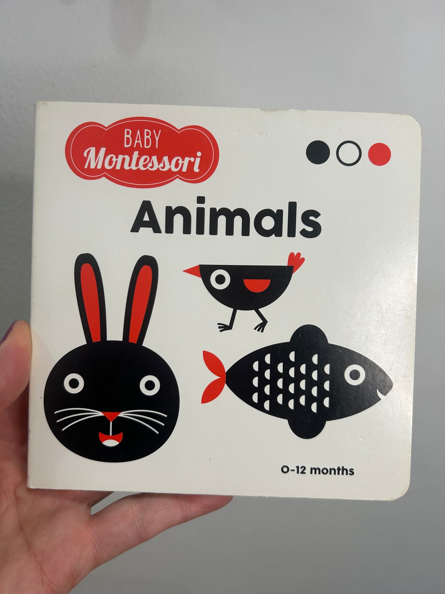 Animals