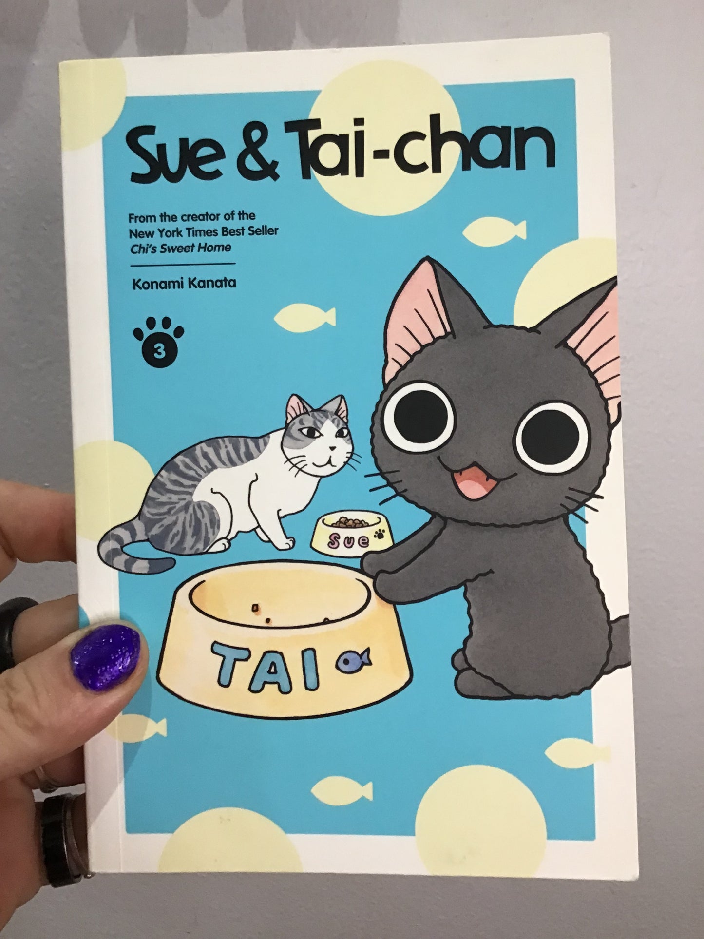 Sue and Tai-chan number 3
