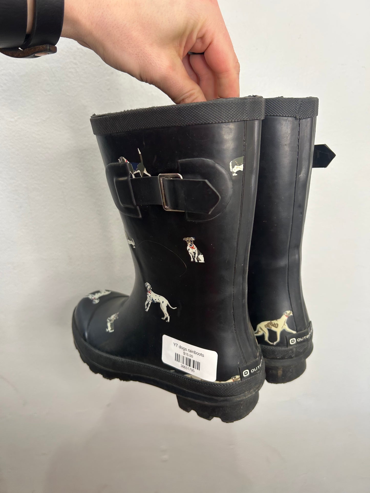Y7 dogs rainboots