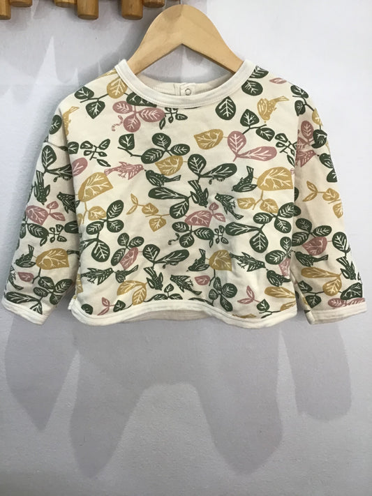 Petit Bateau early birds pullover 24m