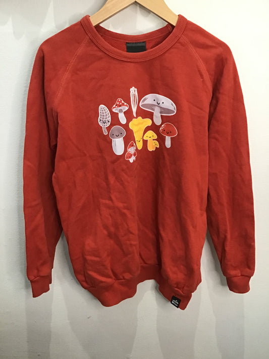 Pullover Whistle & Flute mushrooms 9-10y