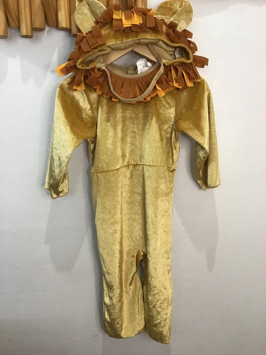 Lion costume 12-18m