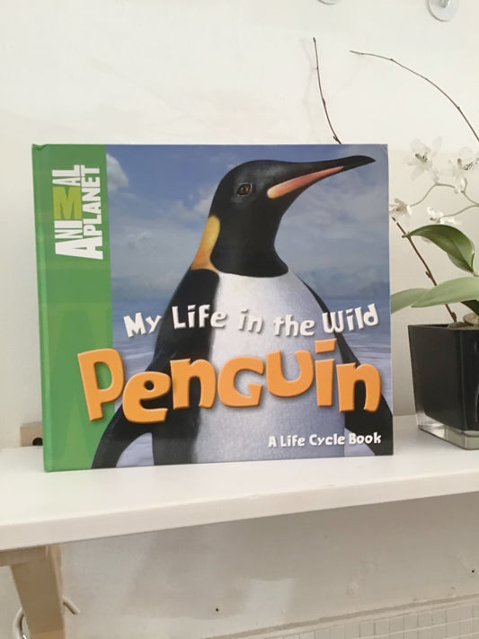 Penguin Life Cycle book