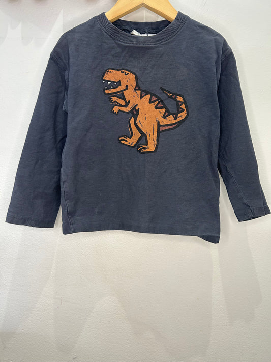 T-Rex dino longsleeve 3-4y