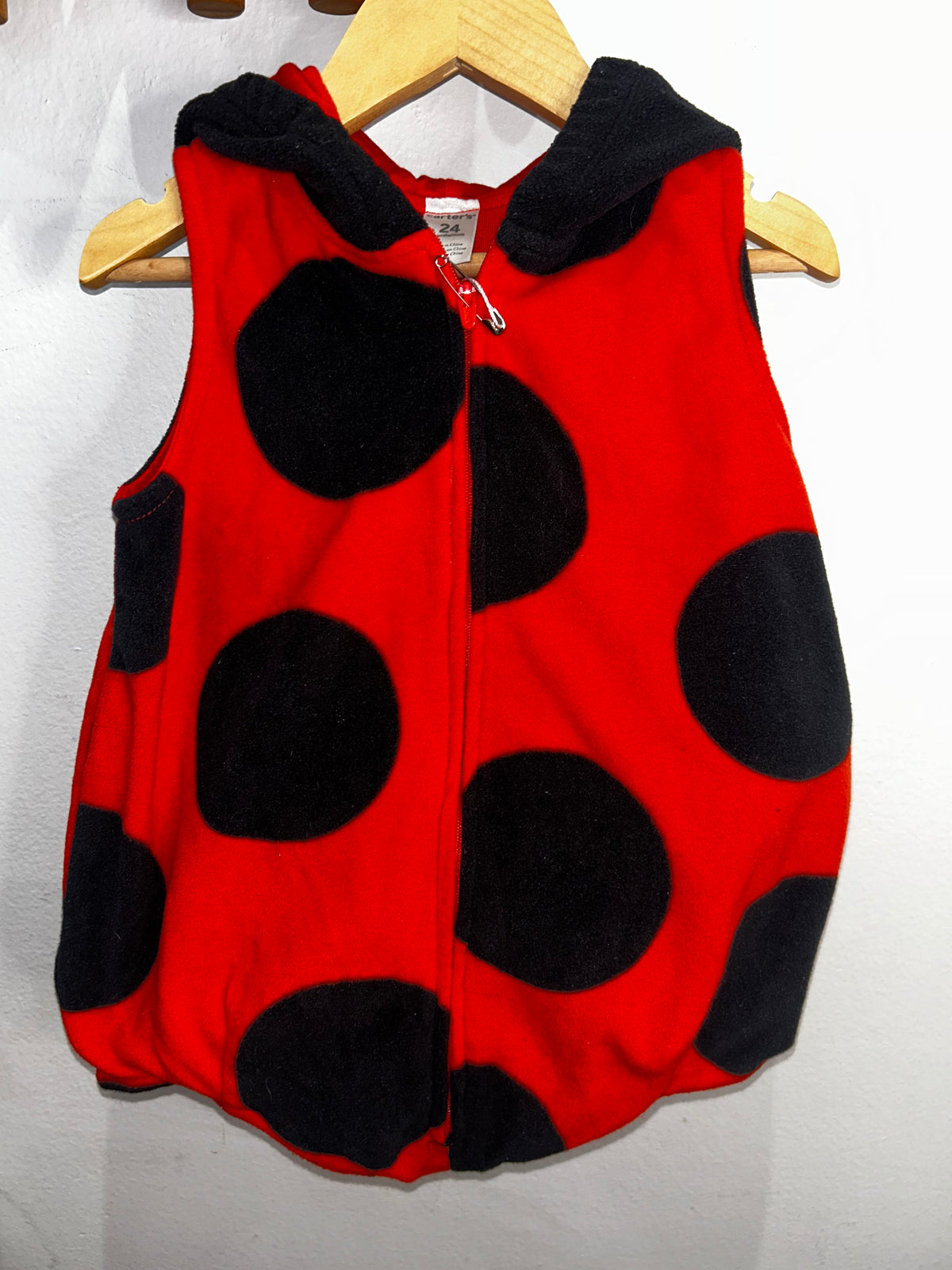Ladybug costume 24m