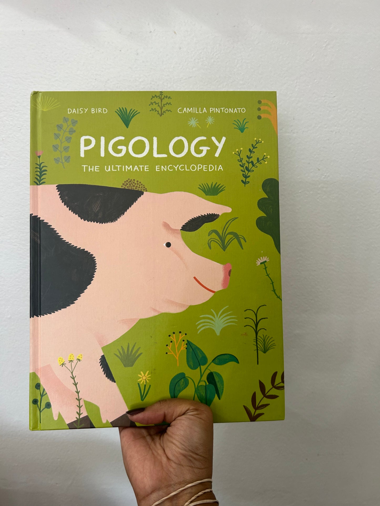 Pigology the Ultimate Encyclopedia