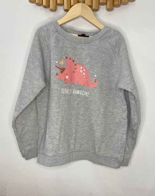 Totally rawrsome pullover 10y