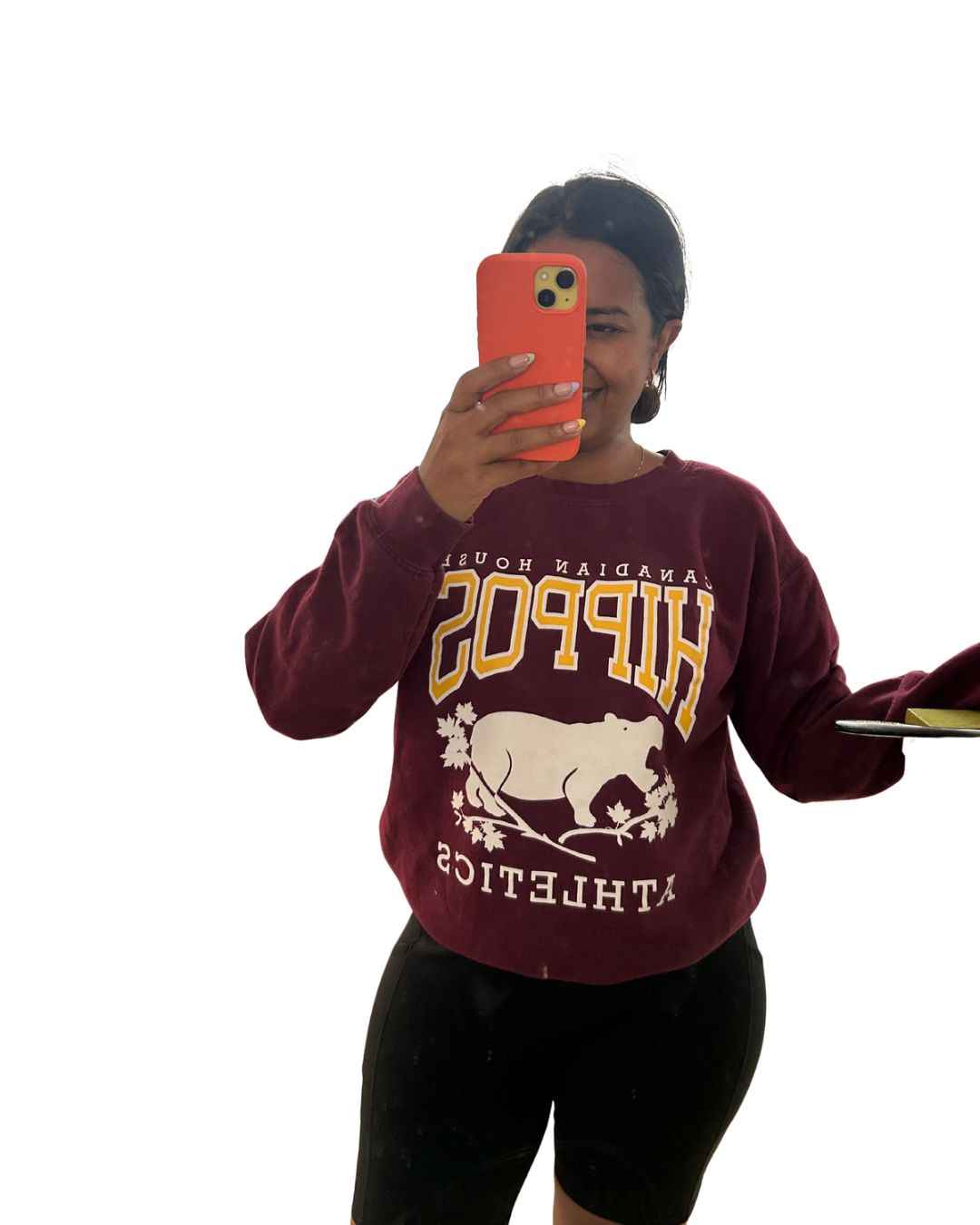 House Hippos pullover (VGUC) S