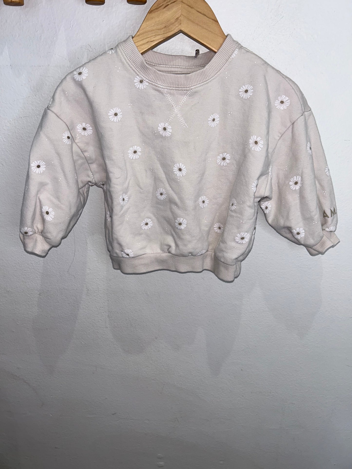 Daisies jogger set 9m