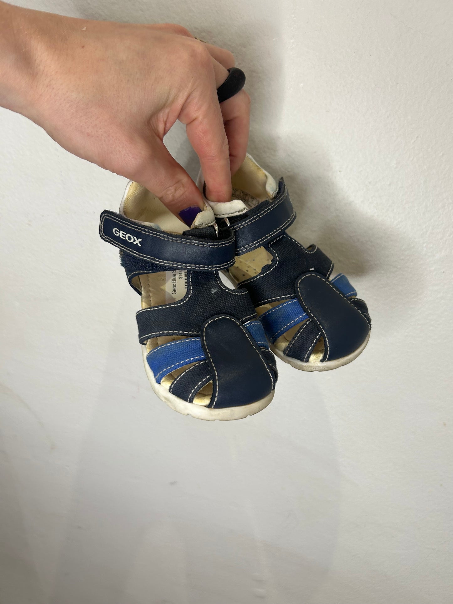 Geox Blue Sandal C7