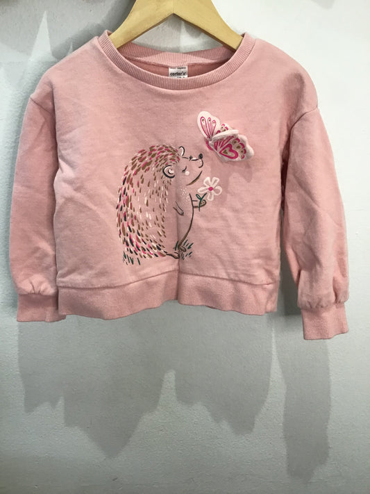 Sweater hedgehog boxy 3y