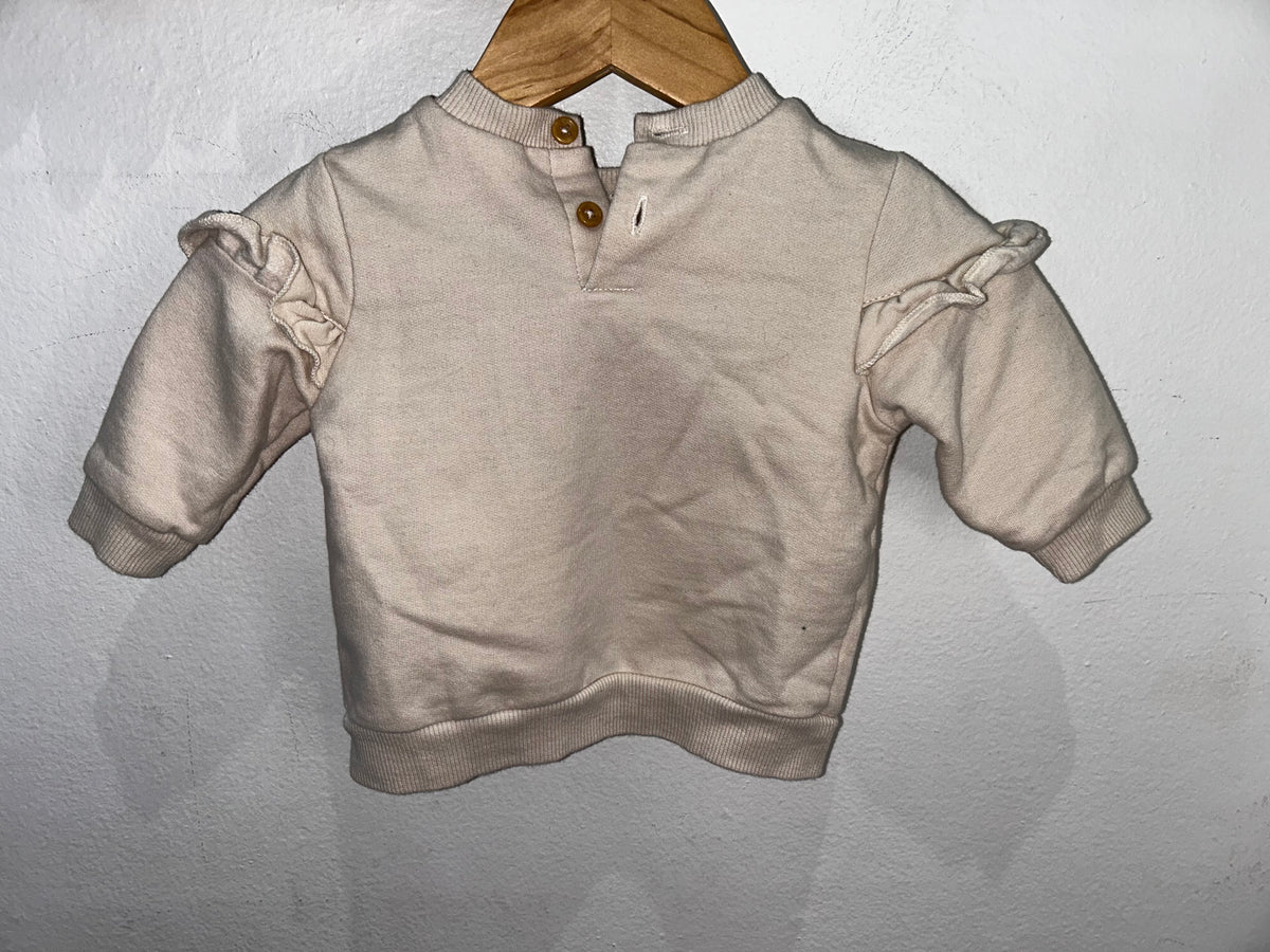 Bee pullover 3m