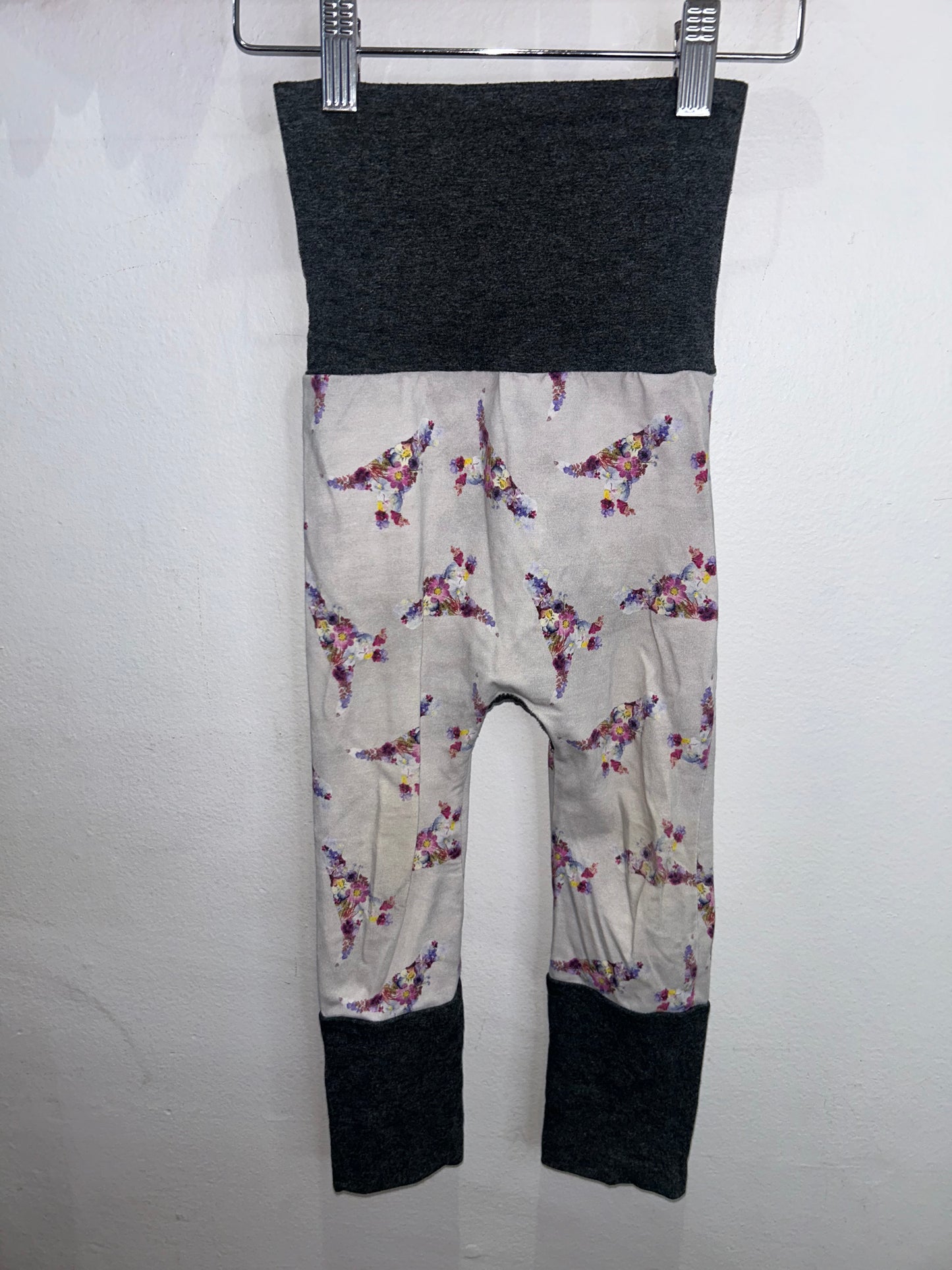 Floral dinosaur pants 6-24m
