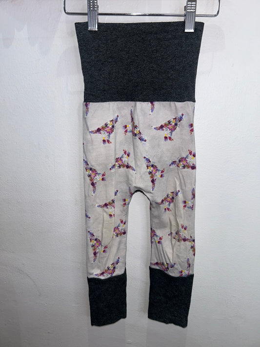 Floral dinosaur pants 6-24m