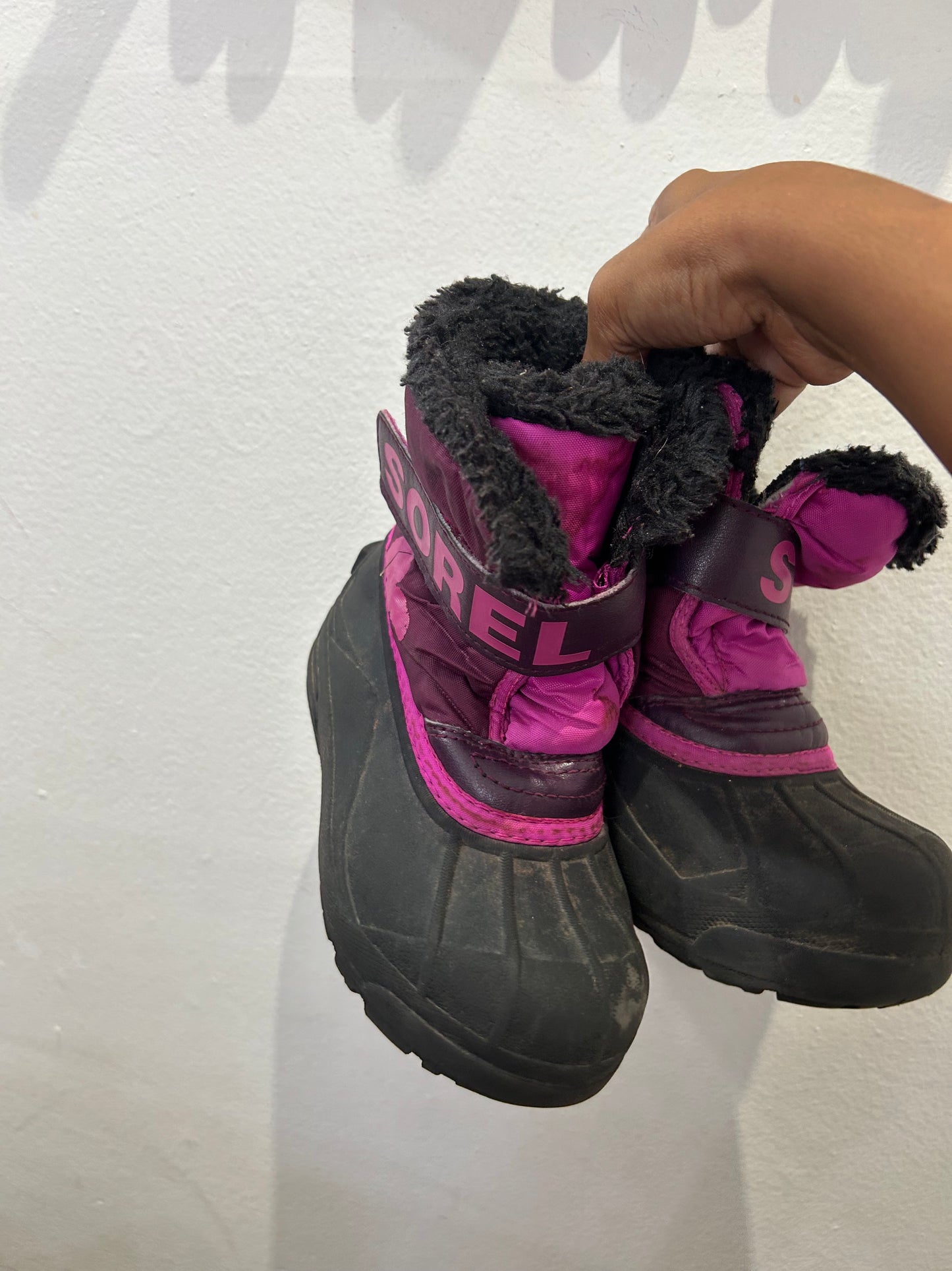 C11 purple Sorels