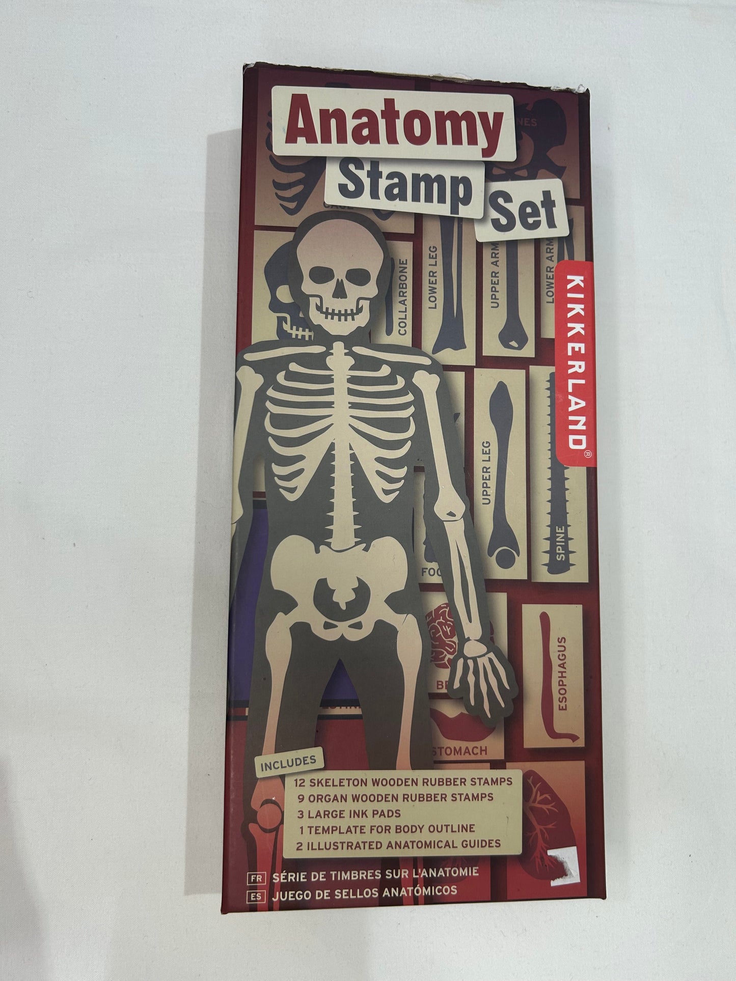 Anatomy stamp set