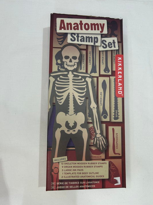 Anatomy stamp set