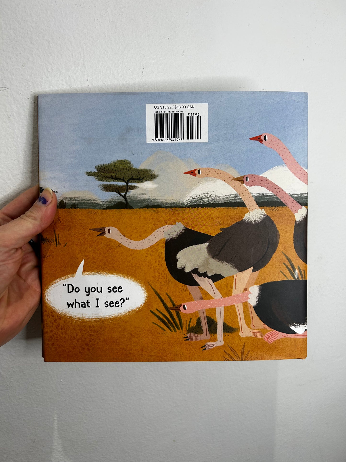 Five hiding ostriches