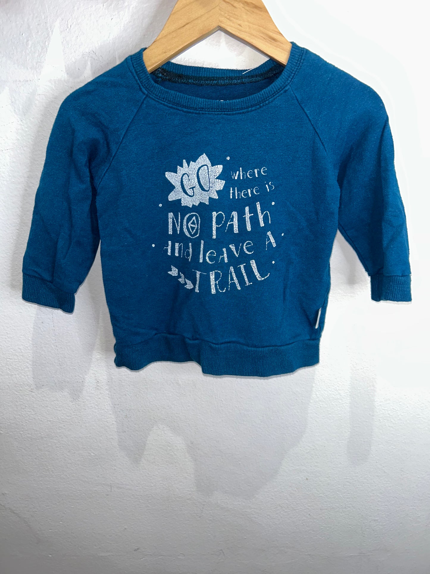 Go where theres no path pullover 6-12m*