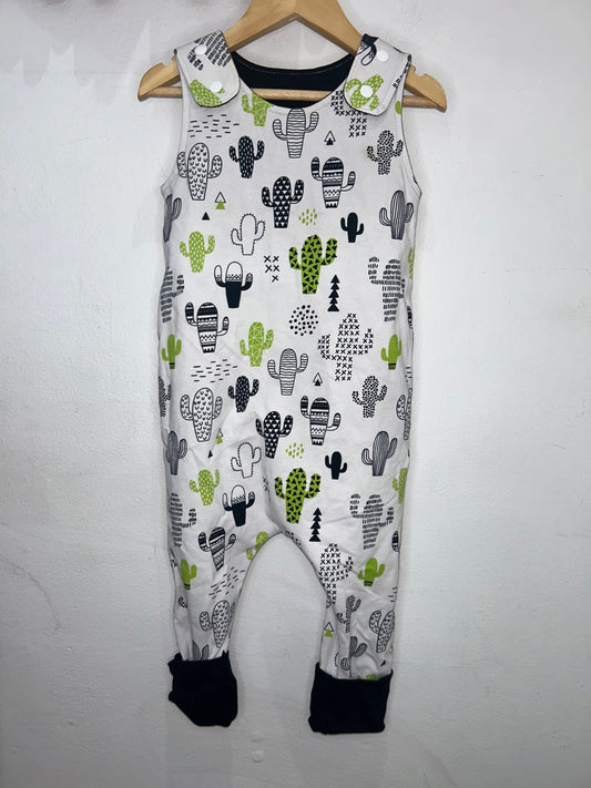 Little Canadian Boutique cactus romper 1-3y