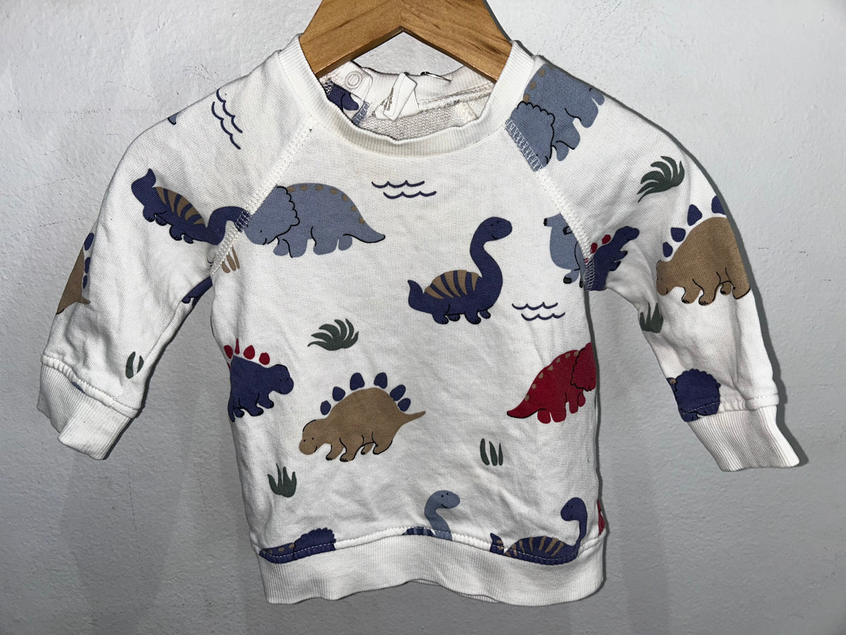 Baby dino pullover 4-6m