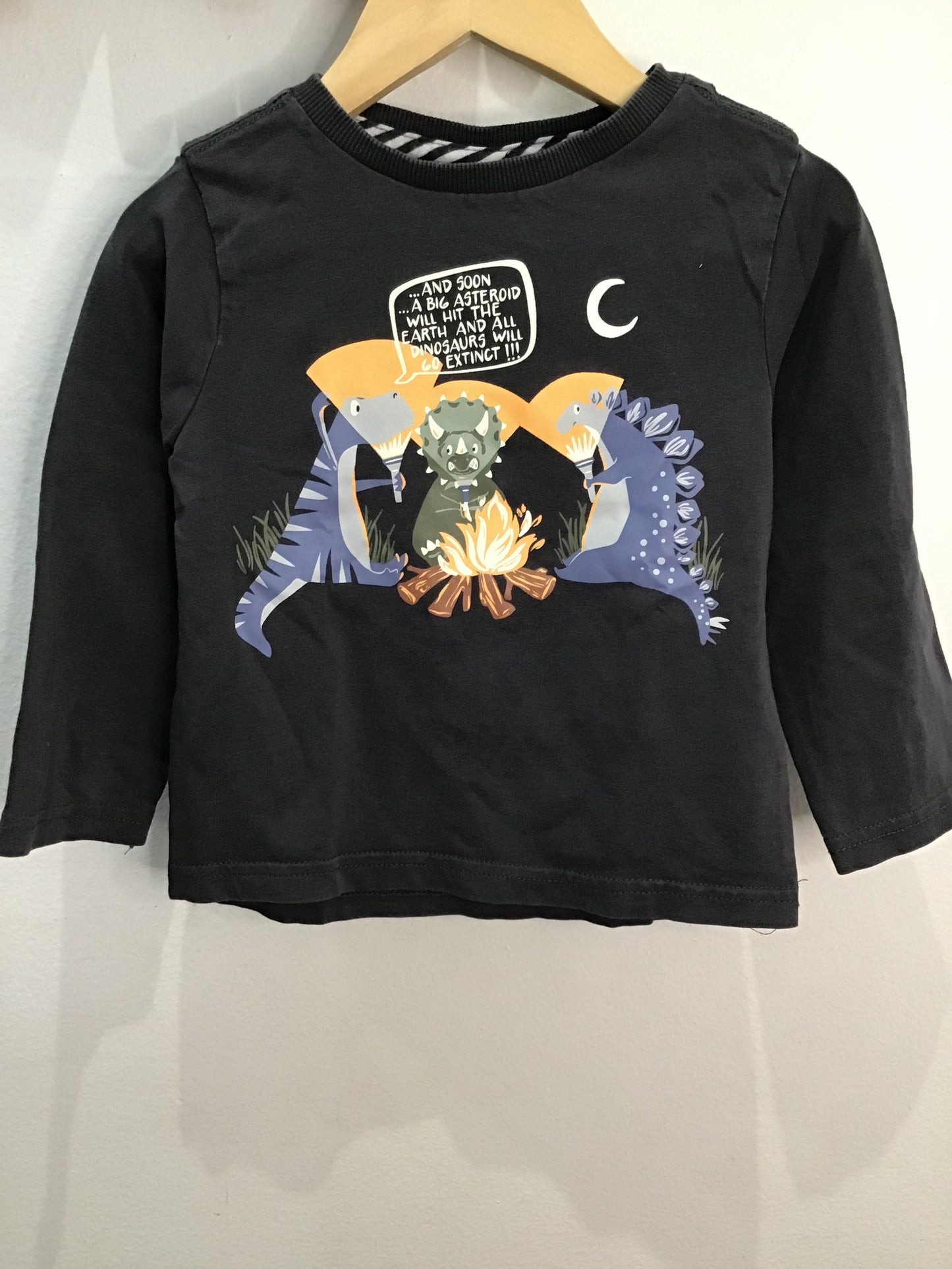 Longsleeve dino campfire tales 24m