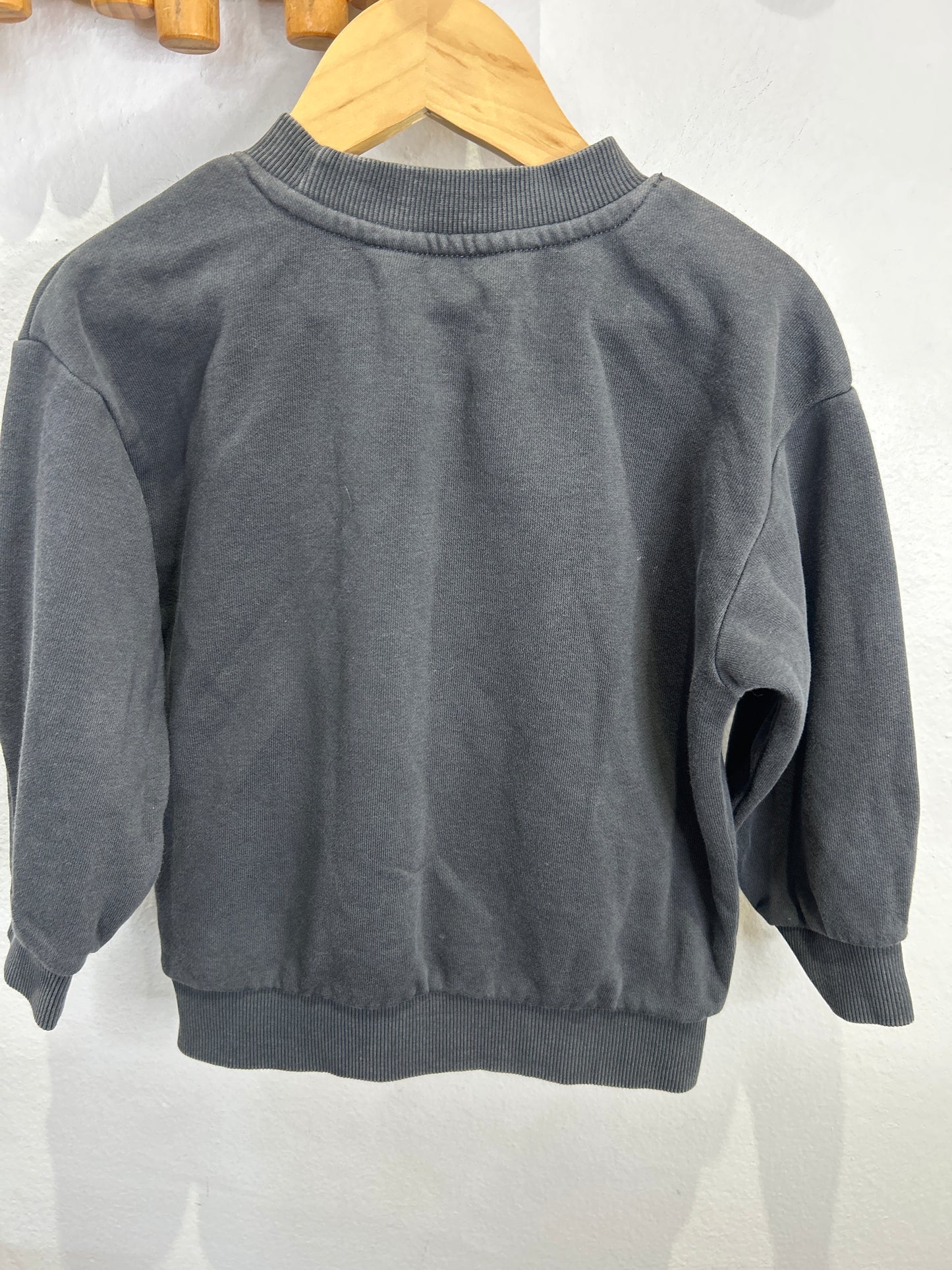 Roar tiger pullover 18-24m