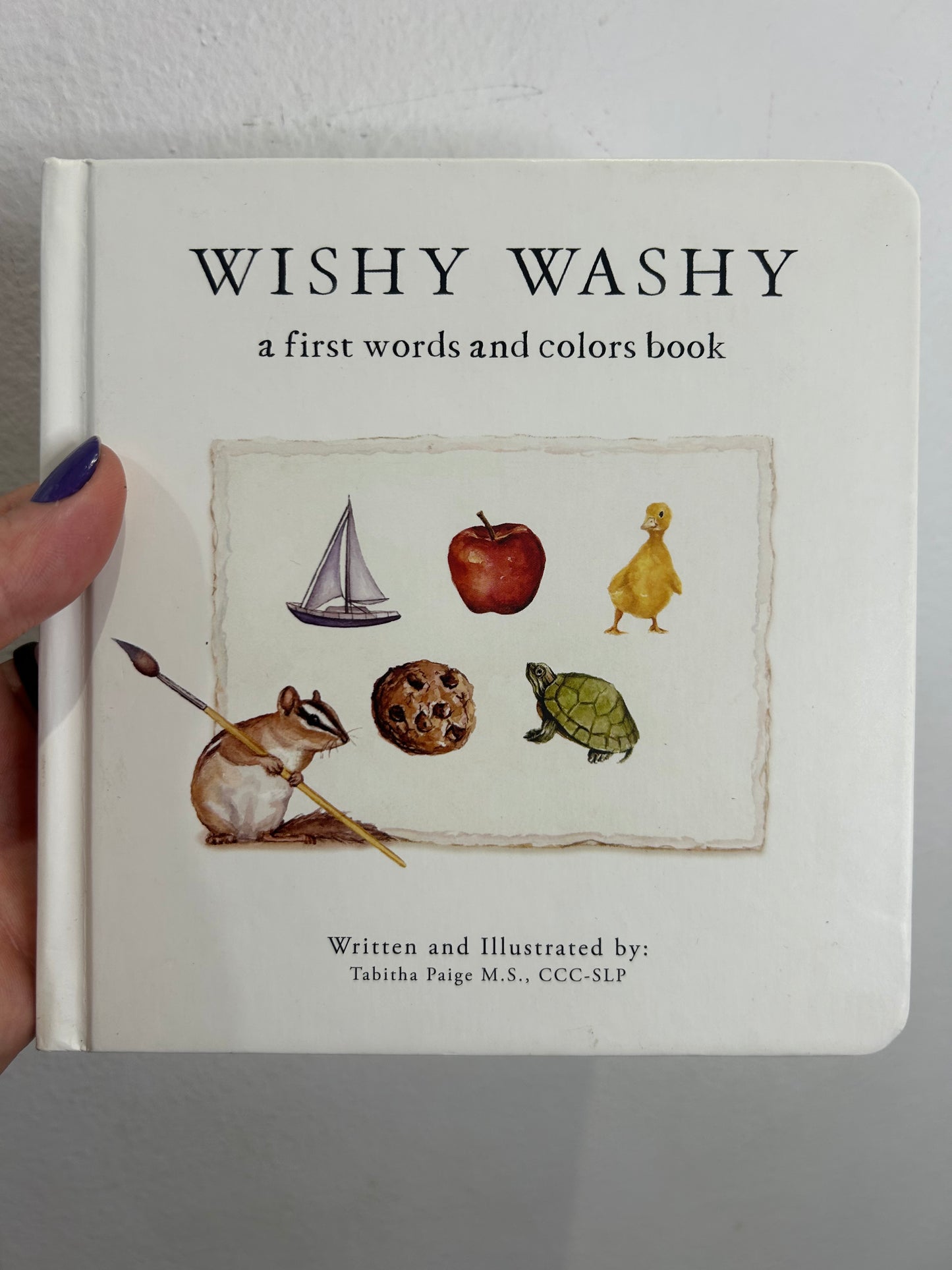 Wishy Washy first colours and words book