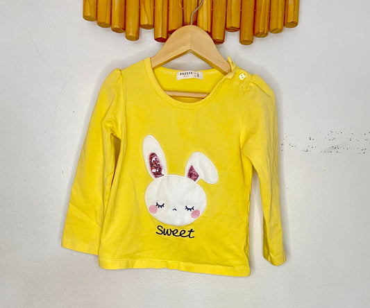 Sweet bunny long sleeve 2y