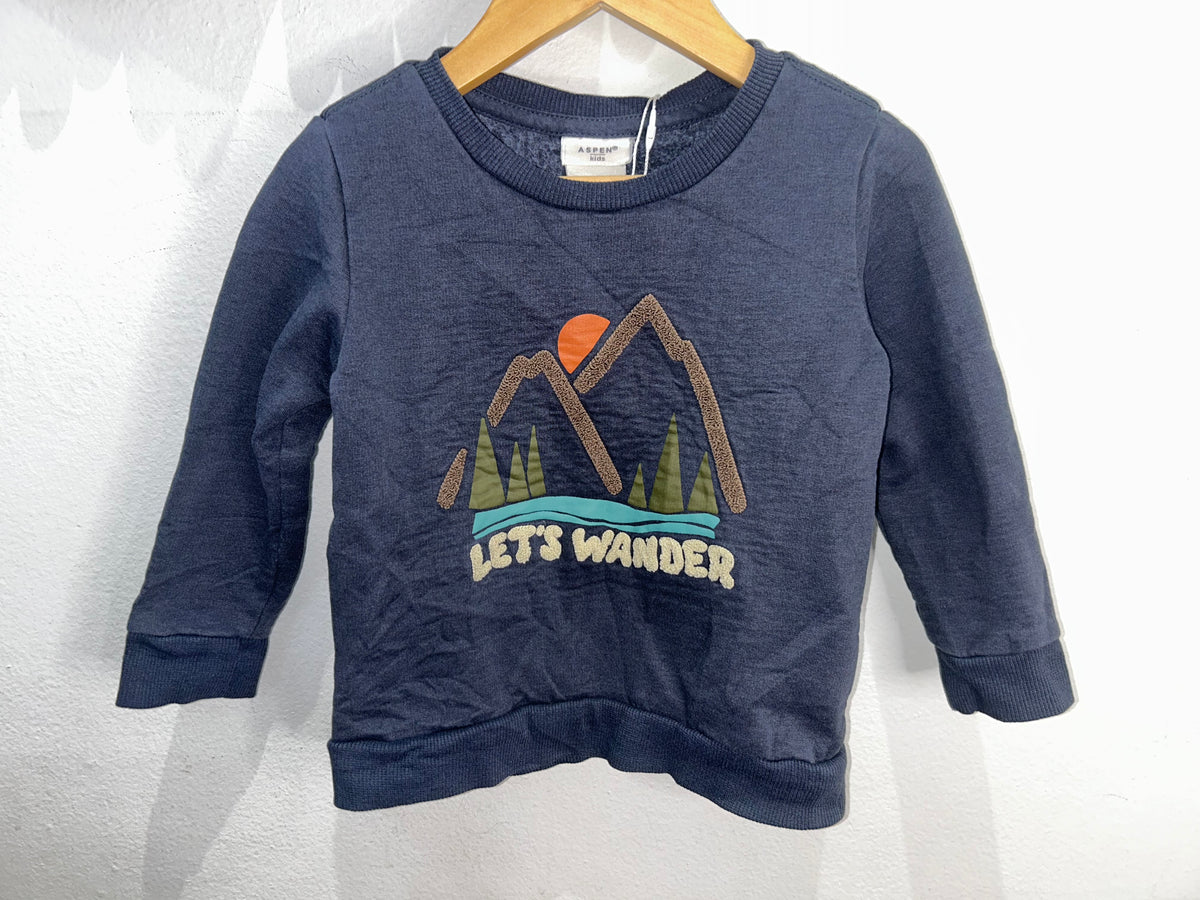 Lets Wander pullover 24m