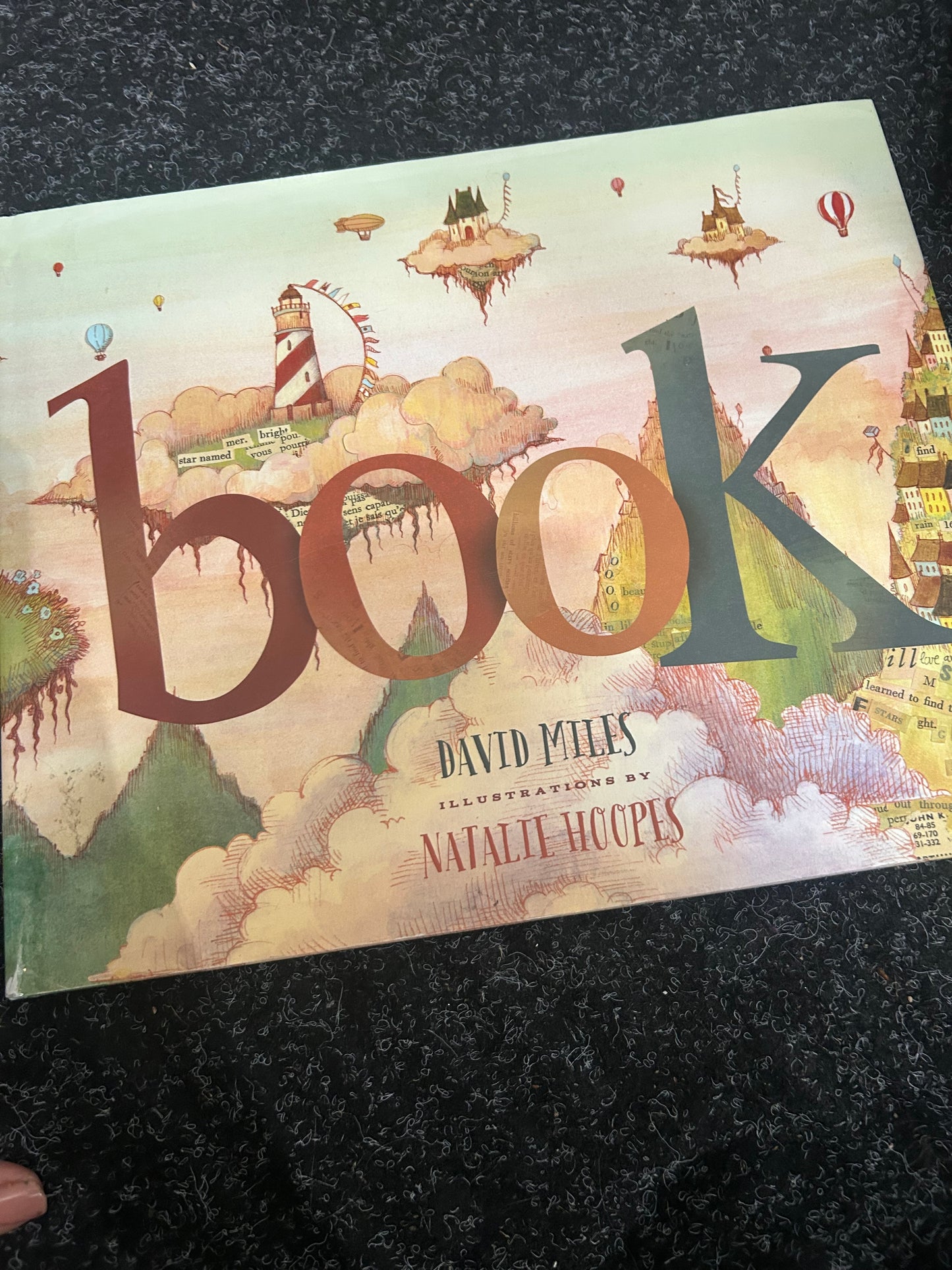 Book by David Miles