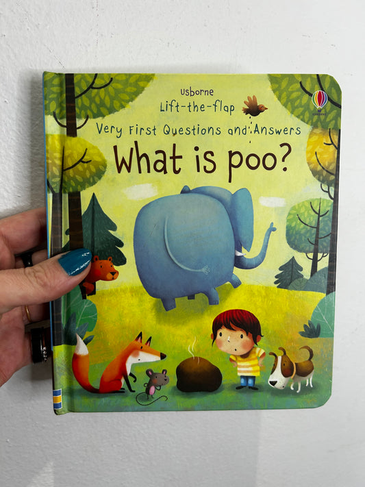 What is poop