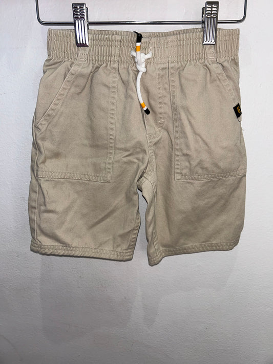 CAT beige shorts 5y