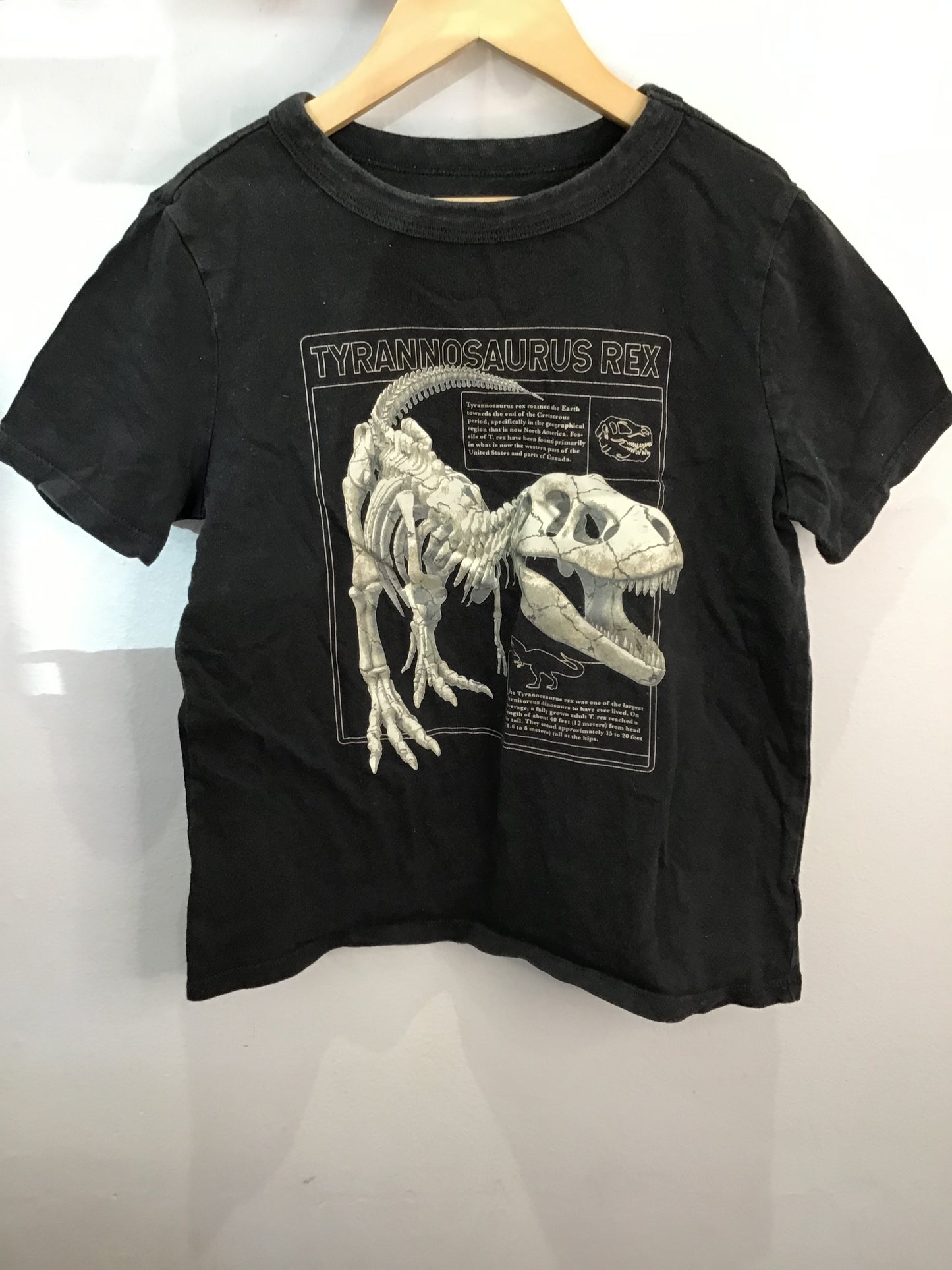 Tee t-rex facts  6-7y