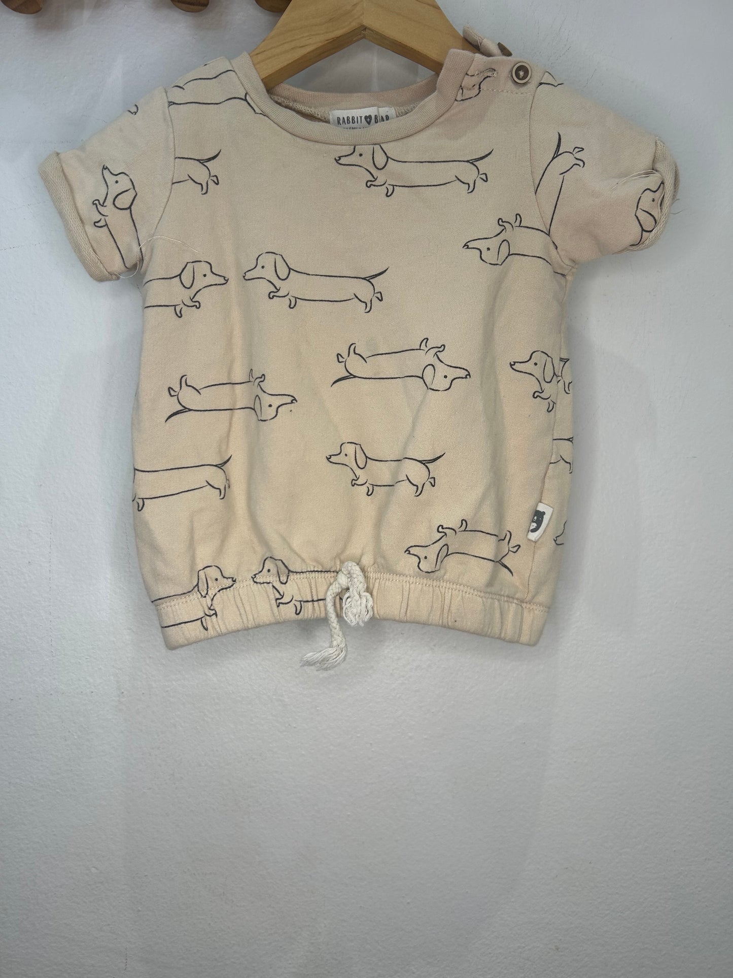 Daschund tee 18m