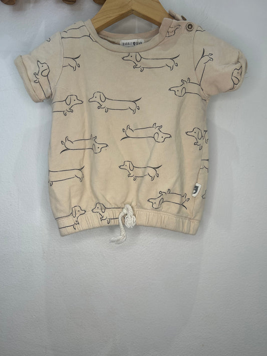 Daschund tee 18m