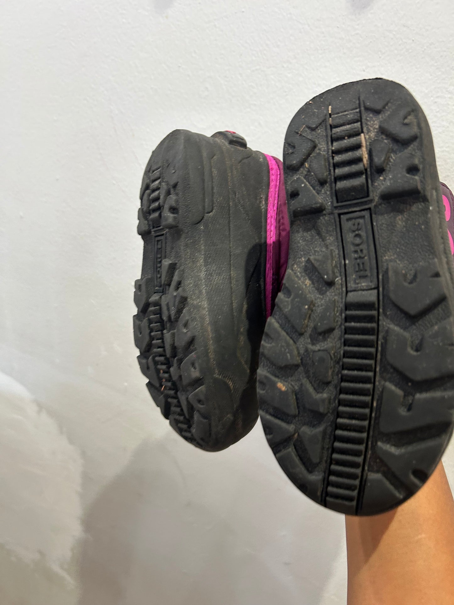 C11 purple Sorels