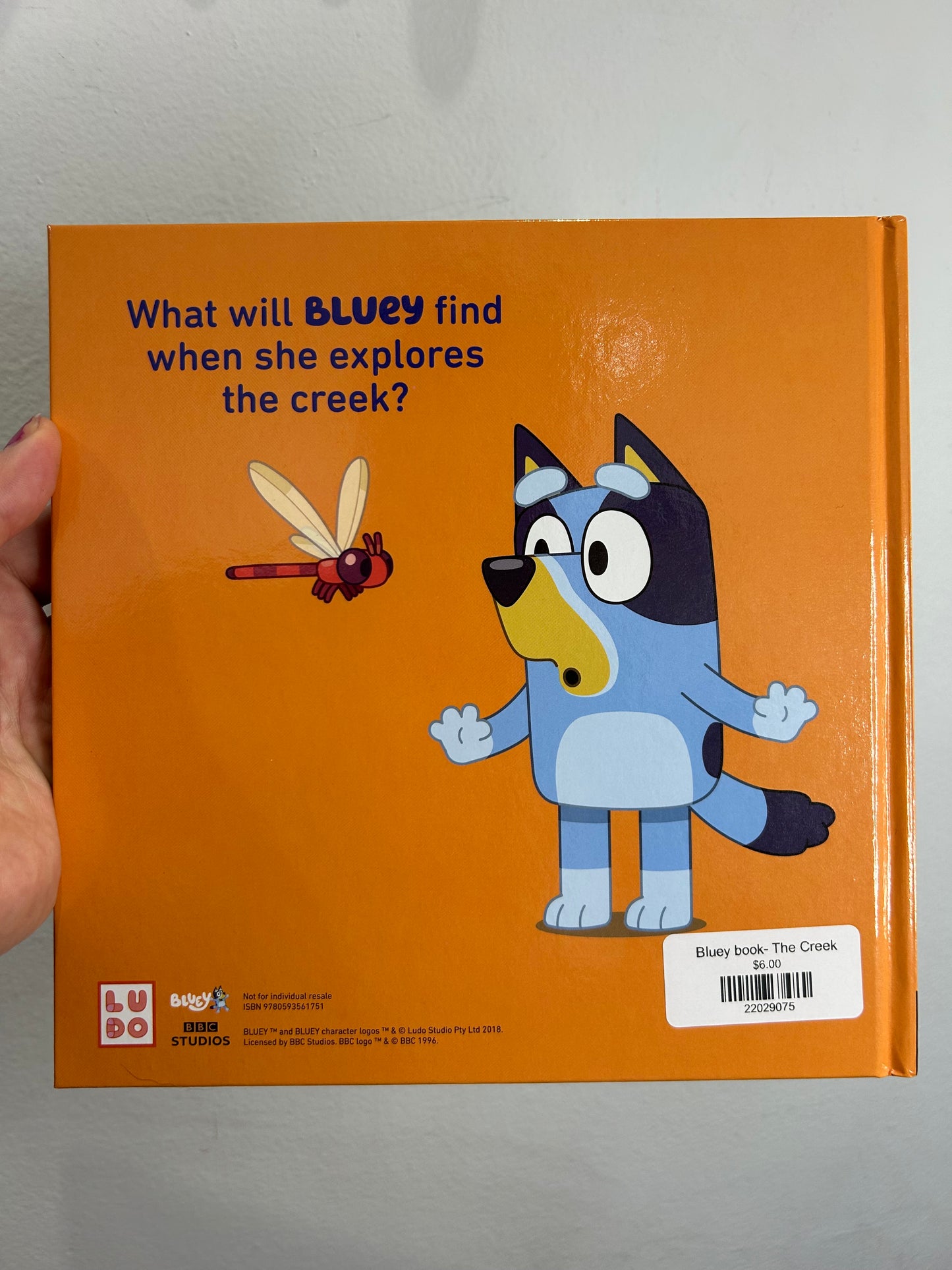 Bluey book- The Creek