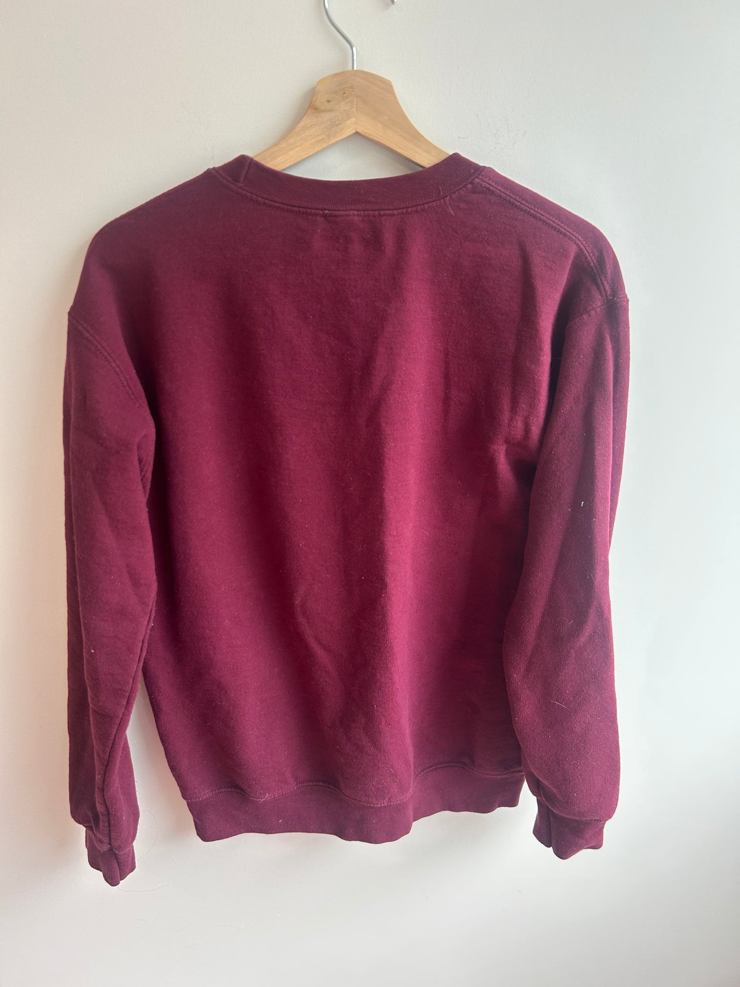 House Hippos pullover (VGUC) S