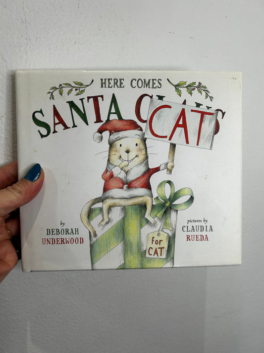 Here comes Santa cat