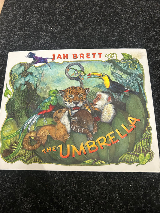 The Umbrella