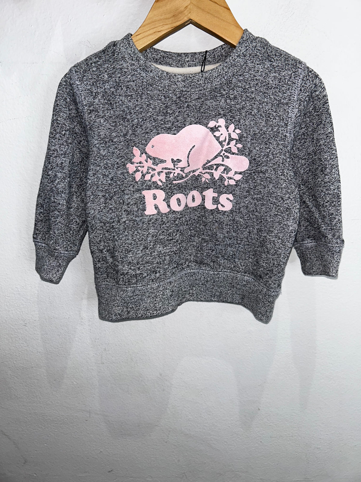Roots pink logo pullover 12-18m