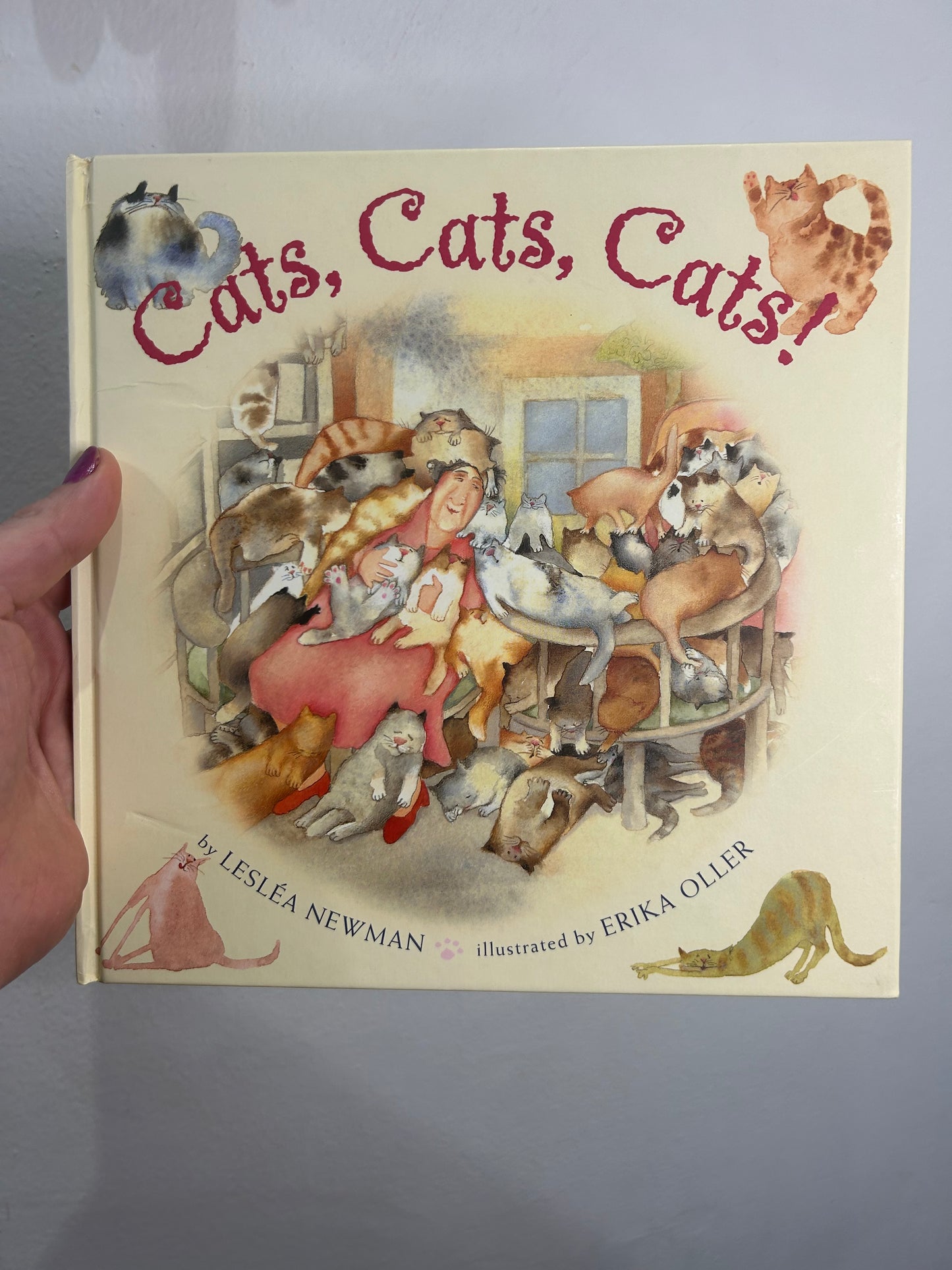 Cats Cats Cats