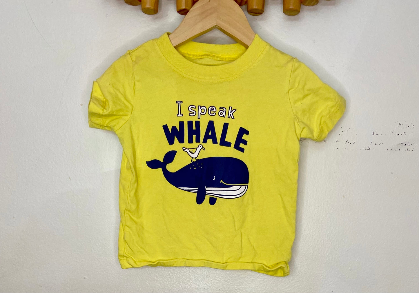 Whale tee 24m