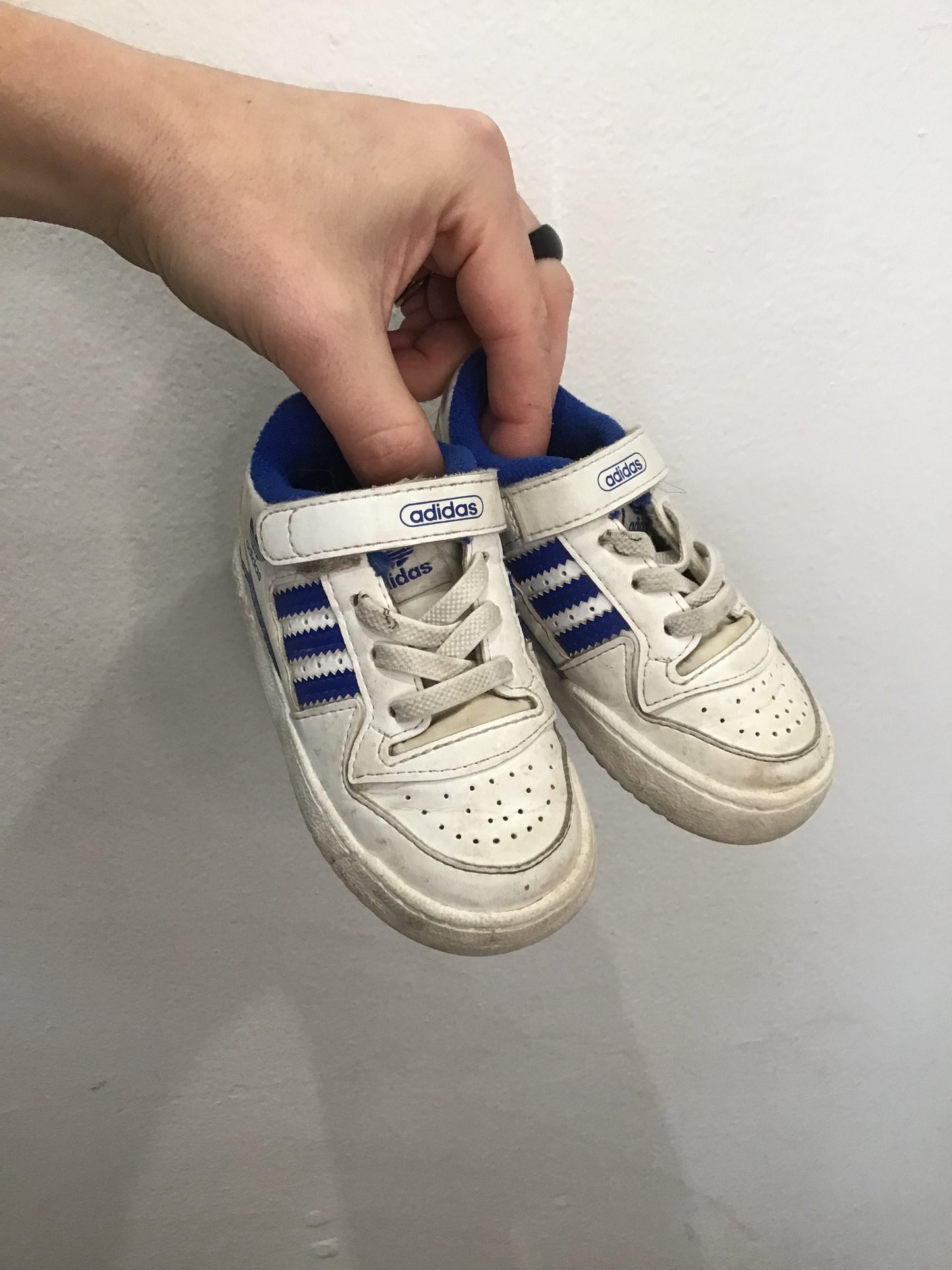 C6 blue Adidas