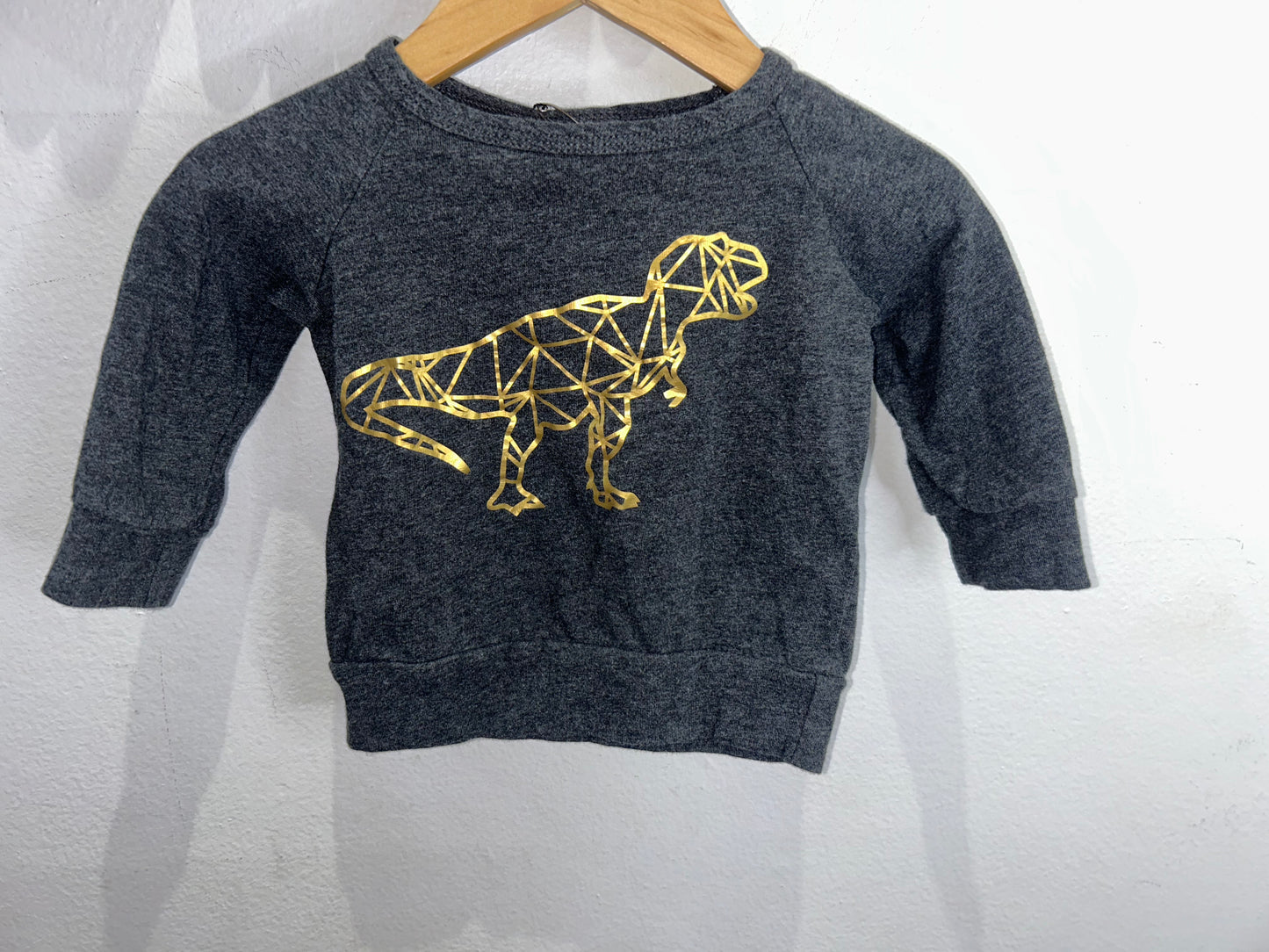 Little and Lively dino pullover 0-6m