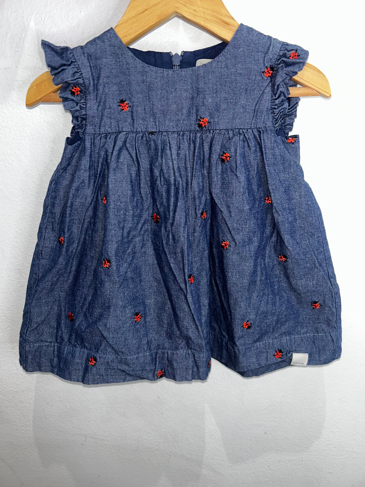 Ladybugs chambray dress 6m