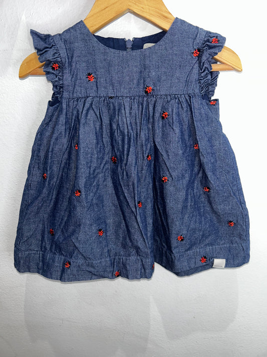 Ladybugs chambray dress 6m