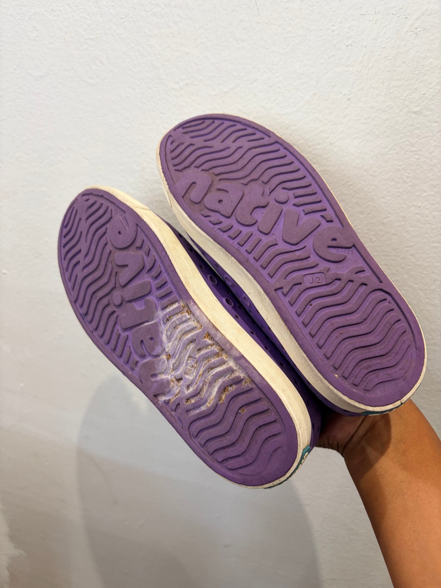 Y2 purple Natives