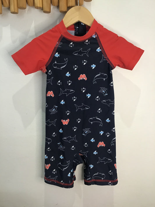 Swimsuit fish 18-24m
